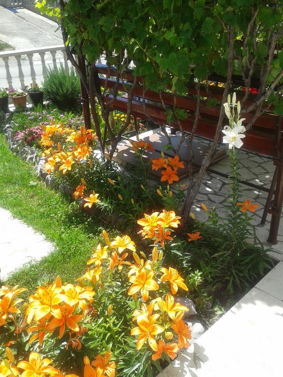 Apartment And Rooms Markovic Сень Номер фото