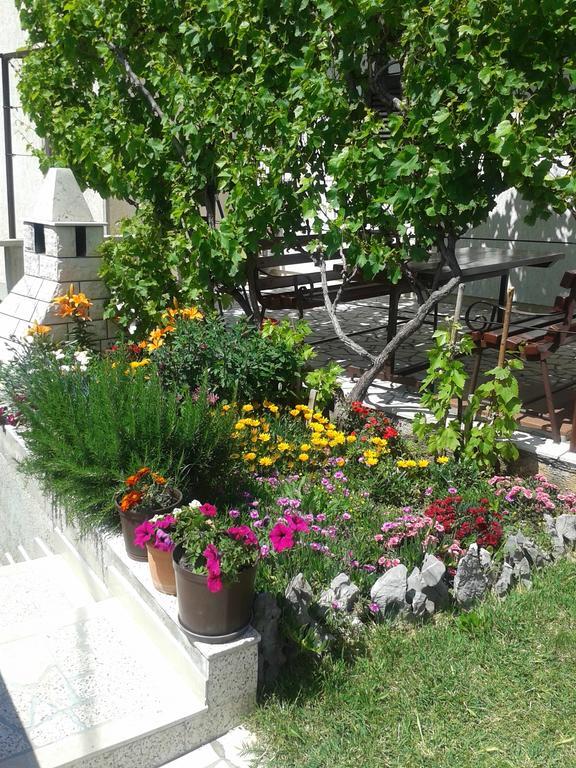 Apartment And Rooms Markovic Сень Номер фото